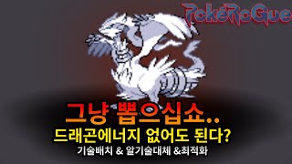 [포켓로그] 레시라무 무한모드 등반 후기 / 기술배치 최적화 공략