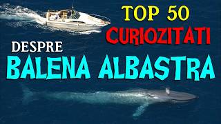 Top 50 curiozitati despre BALENA ALBASTRA