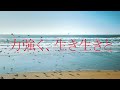 エーツーサインweb動画＜街を創る看板編12秒＞