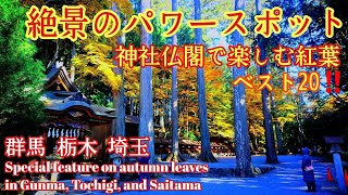 【まとめ】群馬 栃木 埼玉の絶景20‼️『おすすめ紅葉のパワースポット』神社仏閣巡り【徹底解説】