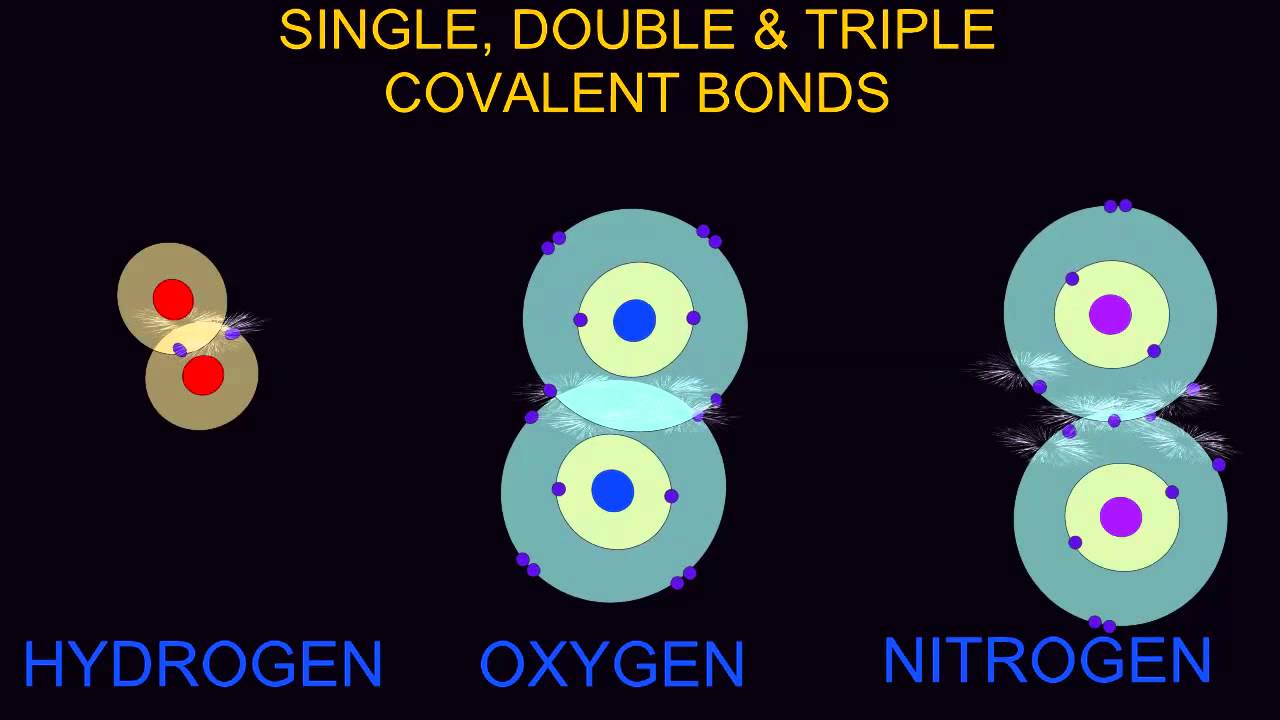 SINGLE, DOUBLE, & TRIPLE COVALENT BONDS - YouTube