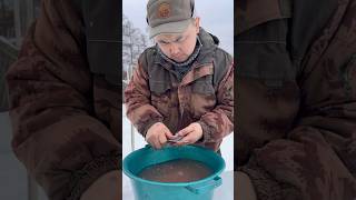 Fish soup from crucian carp🐟😋 / Уха из карася🐟😋 #north #food #winter