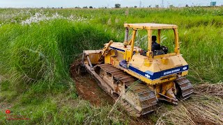 Wonderful Just Starting Dozer Tree Stump Roll Up​ And Cleaning Land \u0026 D53PKomat'su Bulldozer Pushing