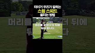 타이거우즈가 말하는 드라이버 스윙 스피드 올리는법