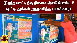 இறந்த மாட்டிற்கு நினைவஞ்சலி போஸ்டர் ஒட்டி துக்கம் அனுசரித்த பாசக்காரர்.. நெகிழ வைத்த சம்பவம்