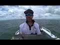 trolling for squid with deadly results how to catch clean u0026 cook moreton bay