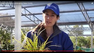 Tips For Firewise Landscaping: Napa County