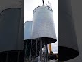 500T hopper bottom steel grain silos installation site