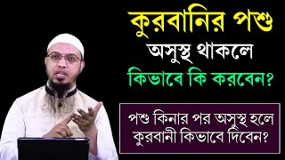 কোরবানির পশু অসুস্থ হলে বা পশু কিনার পর অসুস্থ হয়ে গেলে কুরবানী দেওয়া যাবে কি? Shaikh Ahmadullah Waz