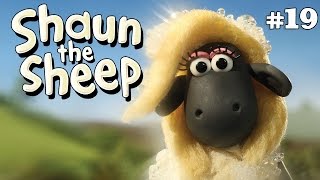 Two's Company | Shaun the Sheep Season 2 | Full Episode