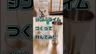 ジン・ライムつくって飲んでみた #shorts #vtuber #mocopi #こむぎかふか #酒飲み