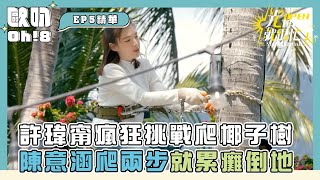 【光開門就很忙了】許瑋甯瘋狂挑戰爬椰子樹竟得心應手？陳意涵爬兩步就累癱倒地｜Oh!8歐叭