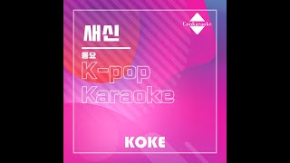 새신 : Originally Performed By 동요 Karaoke Verison