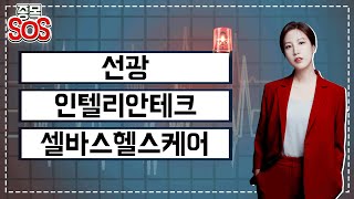 급락종목 구출! 하한가 간 선광, 1000억원 유상증자 결정 인텔리안테크, 셀바스헬스케어 17% 급락