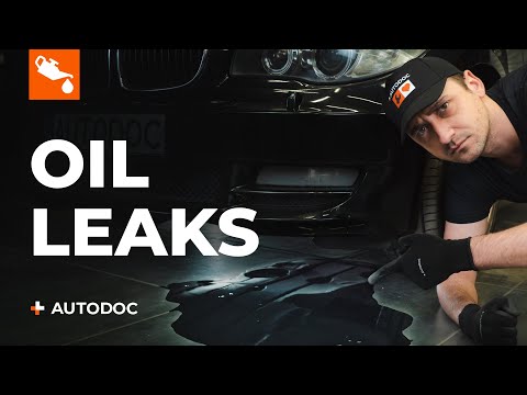 5 Most Common Causes Of Oil Leaks Autodoc Tips Video