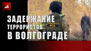 Задержание террористов в Волгограде