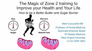 Dr. Mark Cucuzzella presentation: The Magic of Zone 2 training to Improve your Health and Your Life