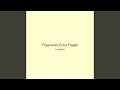 Fragments Echo Fragile