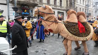 Pasterz i wielbłąd | Orszak Trzech Króli w Łodzi 2024