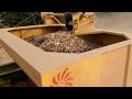 see the process of peanut harvesting machine. how is peanut harvesting done