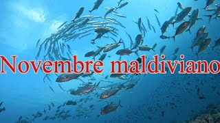 Novembre maldiviano