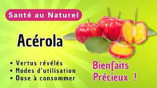 Pourquoi l’acérola est-il le secret caché pour booster votre santé au quotidien ?