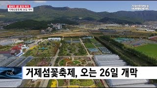 깊어가는 가을, 거제섬꽃축제 어때요?