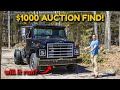 I Bought an International Harvester Medium Duty Truck at Auction for Only $1000!