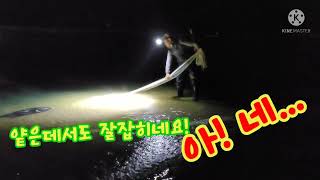 염전해변 2월18일 숭어 야간투망 핫해요# 숭어투망# 바다투망 # cast net fishing