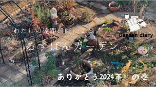 わたしの遠距離庭しごと🪴ありがとう2024年の巻/実家の庭/冬苗を植える/こつこつ庭しごと