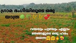 🎵 ഈ പുഴയും.... കുളിർകാറ്റും....🎵  അൽപനേരം വയലോര കാഴ്ചകൾ ആസ്വദിക്കാം🌱🌱