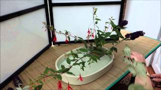 Ikebana in 10 minutes Part 2