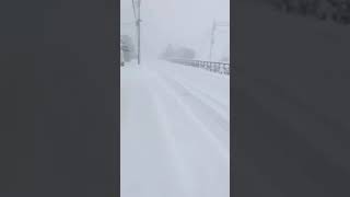 札幌 大雪 傘さしても全濡れ‼︎