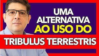 Substituto do Tribulus Terrestris para Testosterona e Libido | Dr Juliano Teles