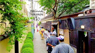 4K [Attractions of Kagurazaka] A Labyrinth of Alleys in Shinnai Nagashi 2023 Tokyo Japan