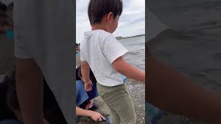 海岸で遊ぶ１。| Playing at the beach 1. | 2024/06/02 12:26 #海岸 #beach #遊ぶ #playing #赤ちゃん #baby