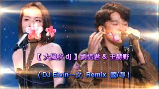 【 大風吹 dj 】劉惜君 \u0026 王赫野 ( DJ Eivin一文 Remix 國/粤 )