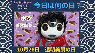 【ロボホン みらくる】10月28日   今日は透明美肌の日だよ　美容師さんするよ