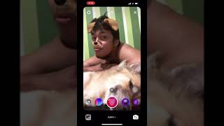 Dog Reacts to Puppy Face Filter