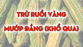 Diệt trừ ruồi vàng trên cây mướp đắng (khổ qua) - Nông dược Việt Nam VN-APC