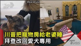 川普把寵物房給老婆睡 拜登改回愛犬專用｜TVBS新聞