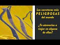 Las 6 Carreteras más peligrosas del mundo