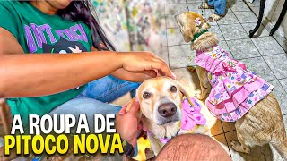 SERÁ QUE O VOVÔ VAI GOSTAR DA ROUPA DE PITOCO NOVA | MANETIKIN