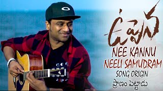 Nee Kannu Neeli Samudram Song Origin || Devi Sri Prasad || Panja Vaisshnav Tej || Life Andhra Tv