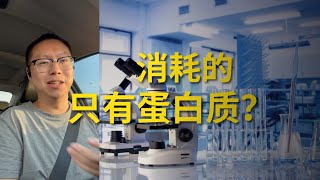 我为什么要戒色？科学骗了我二十年