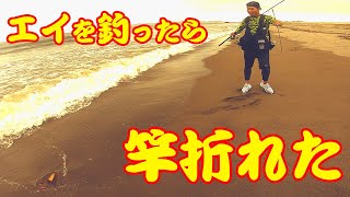 エイを釣ったらまさかの竿が折れた！視聴者コラボ第２弾【後編】