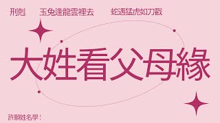 許願姓名學、十二生肖、取名改名、刑剋、大姓看父母緣、姓名分析ep41