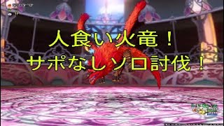 ドラクエ10　人食い火竜ソロ（戦）7分36秒69