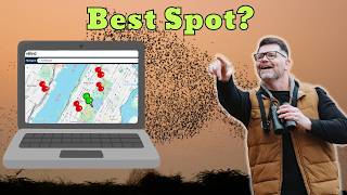 Why Most eBird Hotspots Aren’t Worth Your Time
