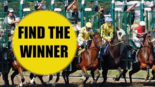 BETFAIR API - FIND HORSES TO BET ON!!! HD - Python Coding